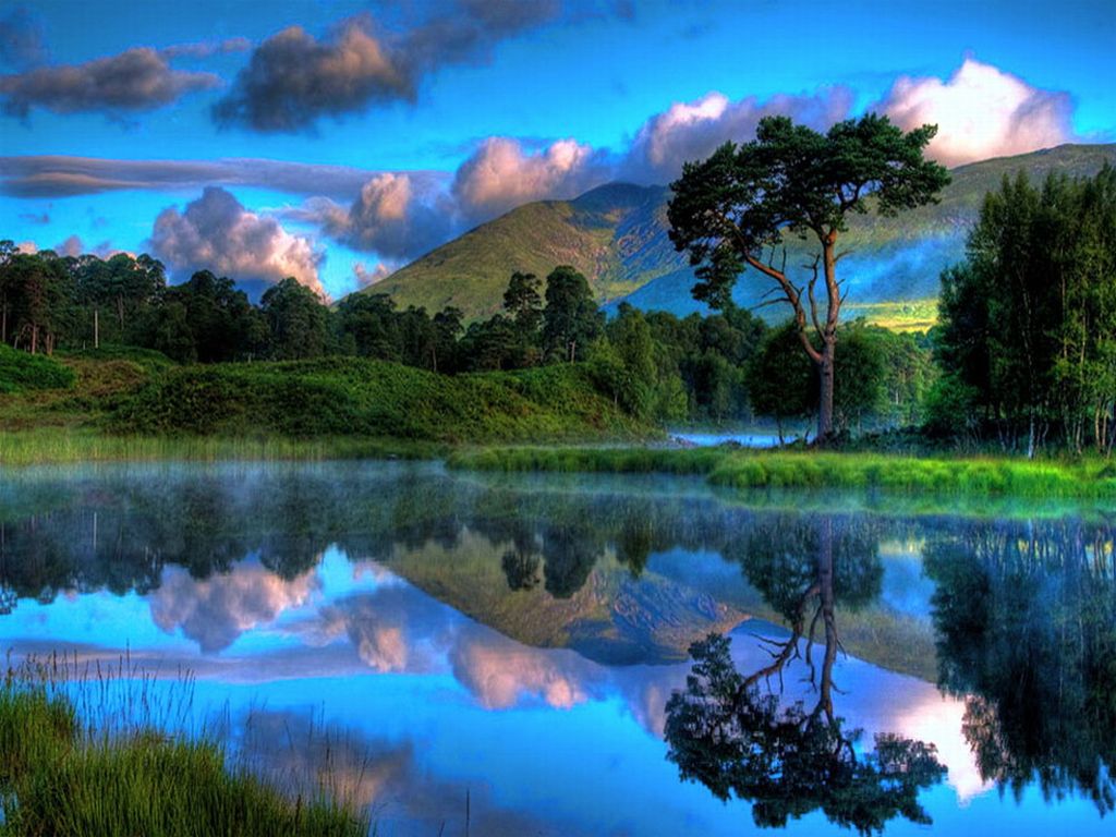 O Homem e a Natureza